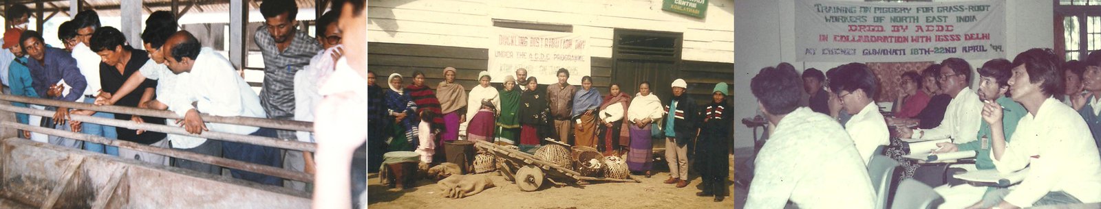 livelihood